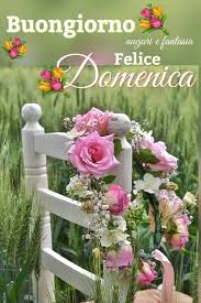 Scarica gratis immagini di fiori per il buongiorno. Pin Di Barbara Su Buongiorno Bellissimi Fiori Bouquet Floreali Alberi In Fiore