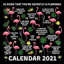 One stop shop for awesome products online! Buy 12 Signs That You Re Secretly A Flamingo Calendar 2021 January 2021 December 2021 Monthly Planner Book Calendar With Funny Flamingo Inspirational Quotes Paperback Desk Calendar August 31 2020 Online In Senegal B08hb2vnvn