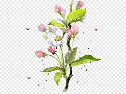 Pink Apple Blossoms Flower Watercolor Painting Floral Design Watercolor Flowers Herbaceous Plant Watercolor Leaves Flower Arranging Png Pngwing