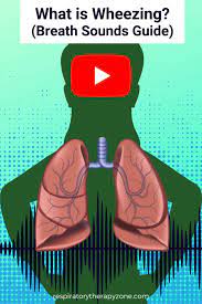Wheezes Lung Sounds What Does Wheezing Mean Breath Sounds Respiratory Therapy Zone Breath Sounds Respiratory Therapy Lung Sounds