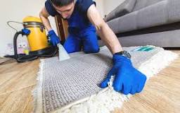 Sou técnico de limpeza de carpetes e garanto: apenas um tipo ...