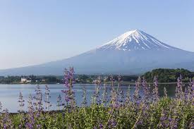 Under the general data protection regulation, cookies are. Japan Key Facts And History