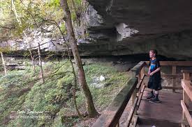 mammoth cave cedar sink overhang i