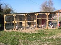 wanted pixs of multi breed coop setups with seperate pens chickens backyard chicken breeders chicken coop
