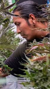 John Oceguera's Instagram, Twitter & Facebook