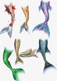 Mermaid Tail Drawing Png 2480x3508px The Little Mermaid Drawing Fish Fishing Joint Download Free You can customize her look, clothes, tail and more. mermaid tail drawing png 2480x3508px
