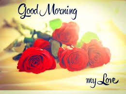 Flower Good Morning Photo Hd Download Good Morning Love Good Morning My Love Romantic Good Morning Messages