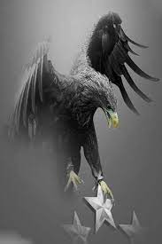 Download wallpapers besiktas, logo, art, super lig, soccer, football club, grunge, besiktas fc for desktop free. Kartal Bjk Wallpaper Download To Your Mobile From Phoneky