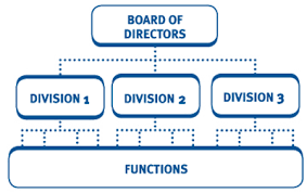 Organisational Structure