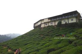 We did not find results for: 2 Ladang Teh Yang Wajib Dikunjungi Di Cameron Highlands Mobile
