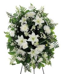 We did not find results for: From You Flowers Reviews Customer Testimonials