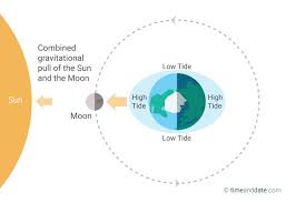 The Moon Causes Tides On Earth