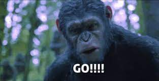 Planet Of The Apes Meme Gifs Tenor