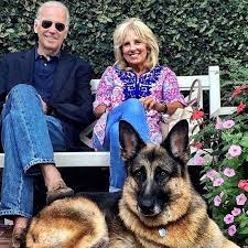 Especially when my money buys half of what it did one. Another Great Thing About Biden S Win There S Going To Be A Dog In The White House Again Vogue