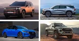 Image result for Tan 2024 Fleet