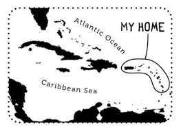 We did not find results for: Aly Ollivierre Page 3 Birdscaribbean