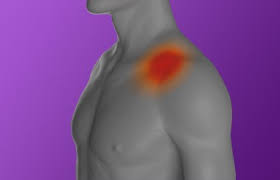 Image result for Shoulder Pain