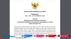 Download Pdf Formasi Cpns 2021 Pemkab Ogan Komering Ulu Timur Okut 206 Alokasi Kesehatan Teknis Tribunsumsel Com