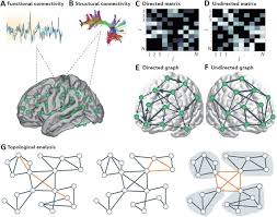 Absolute top 40 radio : Opportunities And Challenges For Psychiatry In The Connectomic Era Biological Psychiatry Cognitive Neuroscience And Neuroimaging