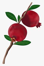 And the great help from the nature; Dwarf Citrus Trees Meyer Fruit Tree Png Illustration Transparent Png Transparent Png Image Pngitem