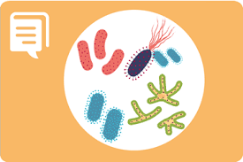 Man vet altså ikke hvor mange som går. Influensa Fhi