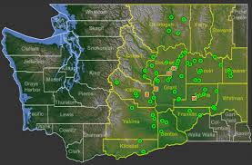 Image result for Thesium unyikense