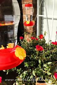 Lately i've been noticing a ton of hummingbirds around our backyard. How To Make A Diy Chandelier Hummingbird Feeder On A Budget