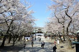 Yasukuni shrine is a shinto shrine located in chiyoda, tokyo. é–åœ‹ç¥žç¤¾æ–¼3æœˆä¸‹æ—¬å·¦å³è¿ŽæŽ¥æœ€ä½³è³žæ«»æœŸ Tabirai Japan