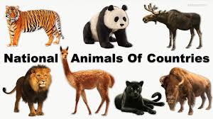 The following list provides common animals that live in the zoo arranged in alphabetical order. A Z Animals Names Youtube
