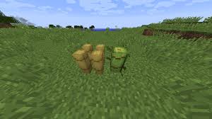 In this mod, you can discover, explore, capture, raise, and breed exotic animals. Zoo Wild Animals