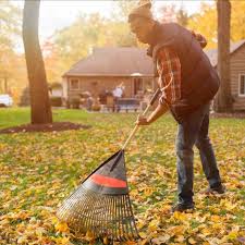 Explore our huge selection today! Raking Leaves This Fall Stop Now Keep Leaves On Lawn Mulch Them
