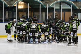 Die regionalliga ost wurde aufgelöst. Regionalliga Nord Saison Scheint Moglich Falken Meister Neue Auslanderregel Eishockey Magazin