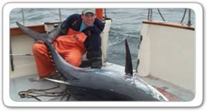 The atlantic ocean continental shelf is world famous for deep sea favorites like; Deep Sea Fishing In New Hampshire And Maine Seafari Fishing Charters