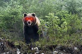 Anybody can make a profit in a bull run, but it's much more difficult to outlive the crypto bear market climate. Why The Next Bitcoin Bear Market May Only Last Months Bitcoinist Com