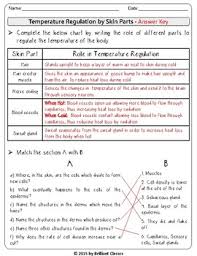 Skin Skin Parts Role Matching Blanks Skin Layers Charts Reading Passage