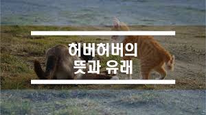 한민족의 민족복인 한복은 한국인의 얼굴이며, 한국인들의 사상과 미의식이 그대로 배어있어요. í—ˆë²„í—ˆë²„ ë‚¨í˜ì¸ê°€ í—ˆë²„í—ˆë²„ì˜ ëœ»ê³¼ ìœ ëž˜ë¥¼ ì•Œì•„ë³´ìž