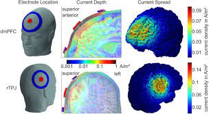 La evidencia de los estudios de neuroimagen, así como los estudios de lesiones, reveló que la rtpj juega un papel fundamental en el. Dissociable Roles For The Rtpj And Dmpfc In Self Other Processing A Hd Tdcs Study Biorxiv