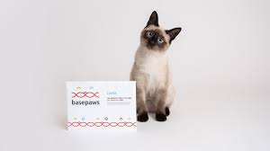 It is always safe, easy and unintrusive to provide your sample. A New Dna Test Will Break Down Your Cat S Breed Mental Floss