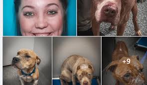 Arcadia Animal Rescue, Michaela Mele, Anne-Marie Green, Lifeline Animal  Project, Green Meadow Kennel and the mysterious death of an owned family  dog named Goober. Oh, also puppy mill broker Gene Horn. I