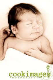 Cook Images: More catchin' up.....more to come