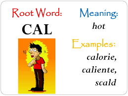 It's actually a bit hot, so, i'm going to blow it. Using Greek And Latin Root Words To Build Vocabulary Ppt Download