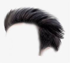Hair Boy Png Hair Style Boys Png Png Image Transparent Png Free Download On Seekpng Discover 42 free hair style boys png images with transparent backgrounds. hair boy png hair style boys png png