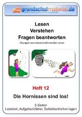 Diese übungen, lernzielkontrollen und klassenarbeiten stehen kostenlos zum download und ausdrucken bereit. Lesemappen Mit Fragen Zum Textverstandnis Deutsch Klasse 4 Grundschulmaterial De