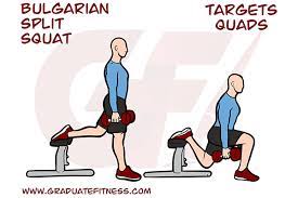 The only way you should be doing bulgarian split squats! Bulgarian Split Squat Form Muscles Benefits Graduate Fitness