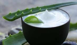 تعرفي علي فوائد الصبار للوجه الدهني وكيفية استخدامه لا بد أنك سمعت عن فوائد الصبار للبشرة ول Aloe Vera For Hair Aloe Vera Skin Care Aloe Vera Face Moisturizer