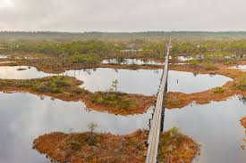 Mar 31, 2021 · overview of wetland components. Wetland Conservation Wikipedia