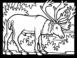 Caribou are the only deer family member (cervidae), where the bodies of the two sexes develop. Disney Princess Pets Coloring Pages Novocom Top