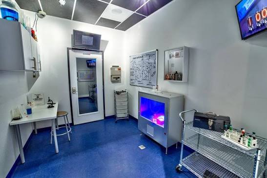 Antidote Live Action Escape Game (with Reviews)