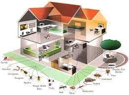 Exterminators ja kahjuritõrjelähedal ettevõttele nature's own pest control. Nature S Own Pest Control 8204 Elmbrook Dr Ste 280 Dallas Tx Pest Control Mapquest