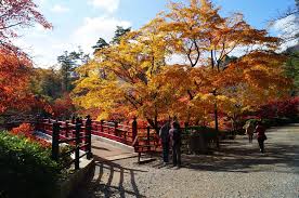 Yahiko Park - Must-See, Access, Hours & Price | GOOD LUCK TRIP